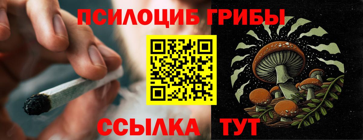 Новочебоксарск  Псилоцибиновые грибы Cubensis  купить   Псилоцибиновые грибы MAGIC MUSHROOMS  Вход с VPN 